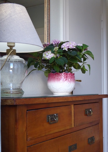 Jörn Nitsche | FEWO | Tierfotograf auf alleFotografen