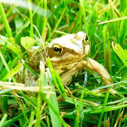 Jörn Nitsche | Tierische Momente | Werbefotograf auf alleFotografen