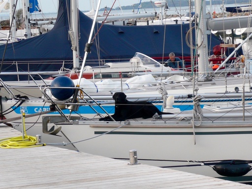 Jörn Nitsche | Tierische Momente | Kunstfotograf auf alleFotografen