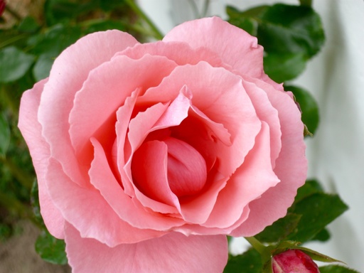 Jörn Nitsche | Motive | Interiorfotograf auf alleFotografen