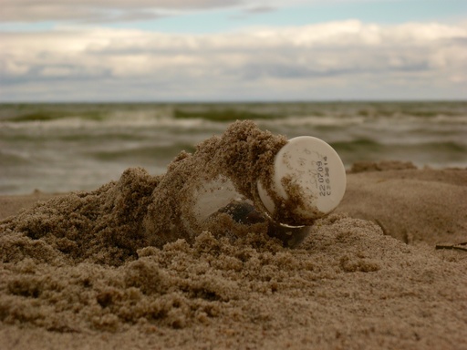 Jörn Nitsche | Motive | Tierfotograf auf alleFotografen