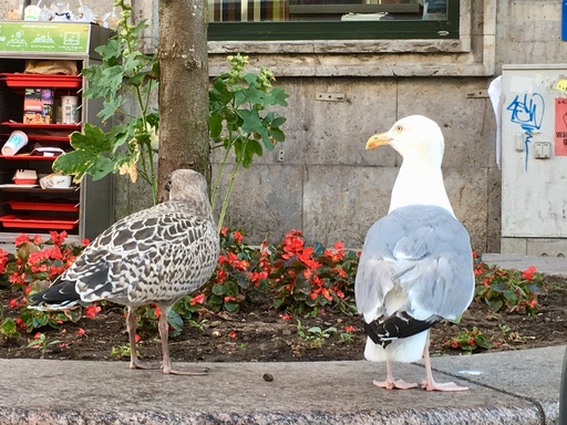 Jörn Nitsche | Tierische Momente | Werbefotograf auf alleFotografen