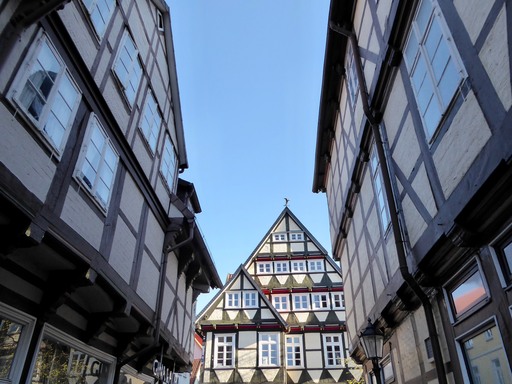 Jörn Nitsche | Altstadt | Tierfotograf auf alleFotografen