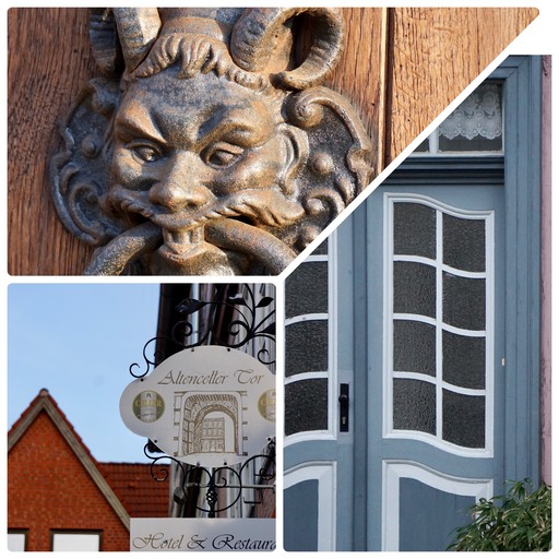 Jörn Nitsche | Postkartenmotive | Tierfotograf auf alleFotografen