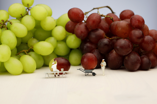 Fotografie Fricke | Produktfotografie | Abiballfotograf auf alleFotografen