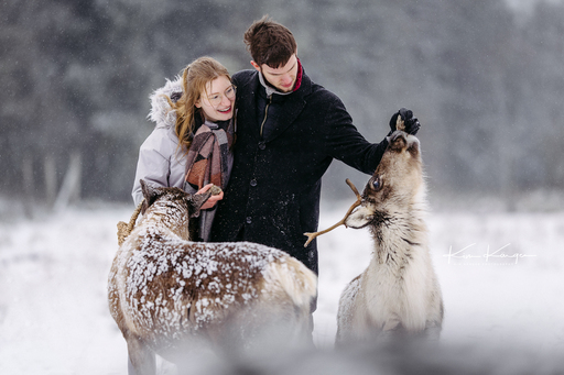 Kim Kärger Photography | Besonderes | Tierfotograf auf alleFotografen