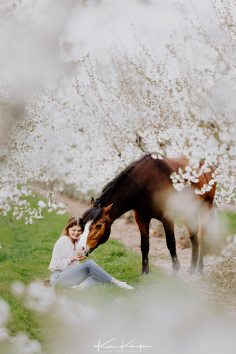 Kim Kärger Photography | Pferde | Hochzeitsfotograf auf alleFotografen