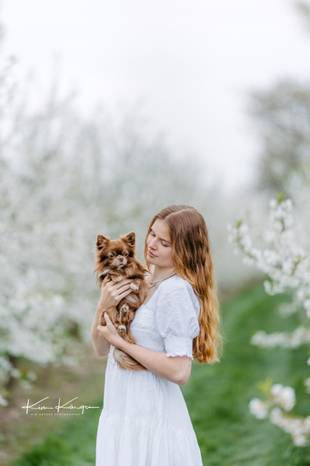 Kim Kärger Photography | Hunde | Hundefotograf auf alleFotografen