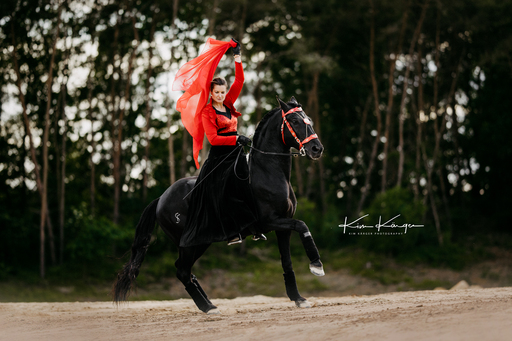 Kim Kärger Photography | Pferde | Hochzeitsfotograf auf alleFotografen
