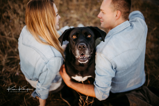 Kim Kärger Photography | Hunde | Hochzeitsfotograf auf alleFotografen