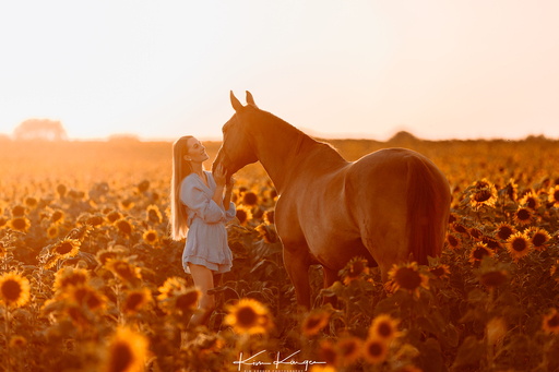 Kim Kärger Photography | Pferde | Paarfotograf auf alleFotografen