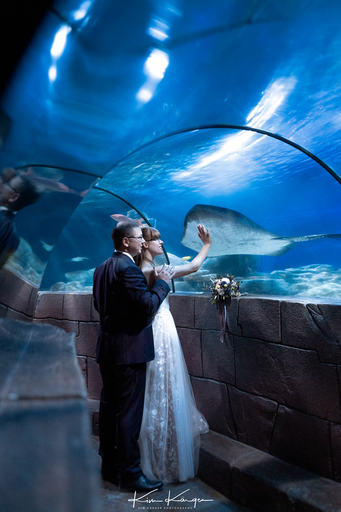 Kim Kärger Photography | Hochzeiten | Familienfotograf auf alleFotografen
