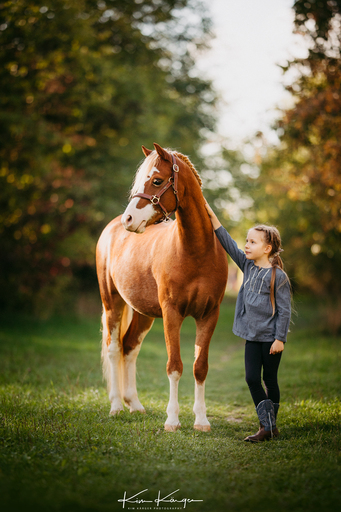 Kim Kärger Photography | Pferde | Pferdefotograf auf alleFotografen