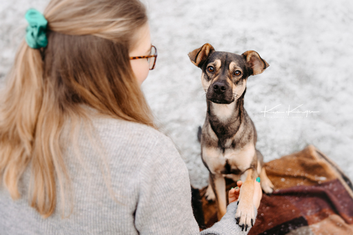 Kim Kärger Photography | Hunde | Tierfotograf auf alleFotografen