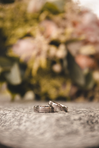 Lennarts Photographs | Hochzeiten | Hundefotograf auf alleFotografen