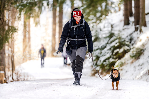 Kevin Zumbo Hundefotografie | Veranstaltungen Reportage | Hundefotograf auf alleFotografen