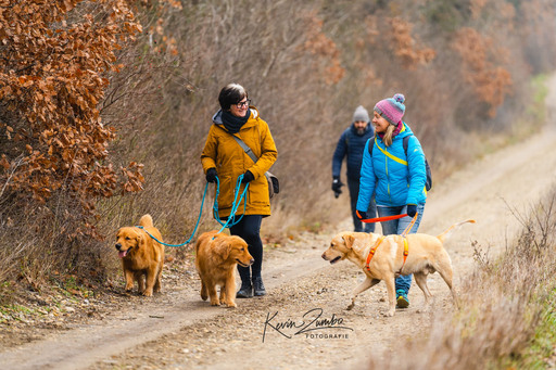 Kevin Zumbo Hundefotografie | Veranstaltungen Reportage | Werbefotograf auf alleFotografen