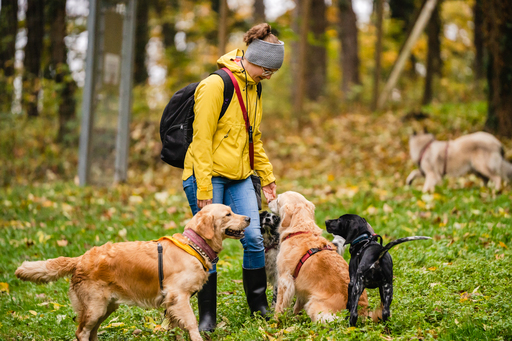 Kevin Zumbo Hundefotografie | Veranstaltungen Reportage | Tierfotograf auf alleFotografen