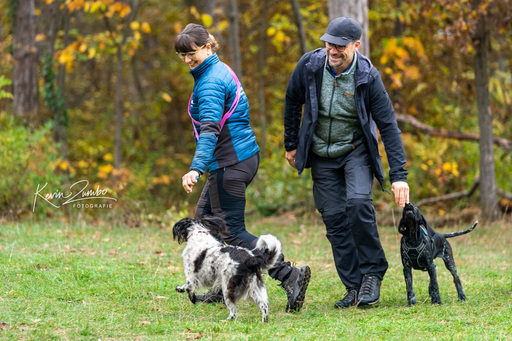Kevin Zumbo Hundefotografie | Veranstaltungen Reportage | Werbefotograf auf alleFotografen