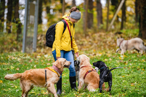 Kevin Zumbo Hundefotografie | Veranstaltungen Reportage | Werbefotograf auf alleFotografen