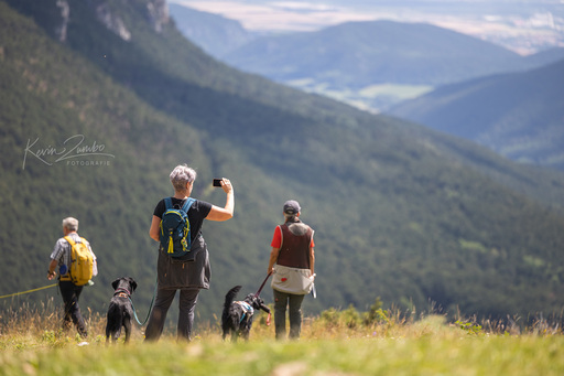 Kevin Zumbo Hundefotografie | Veranstaltungen Reportage | Werbefotograf auf alleFotografen