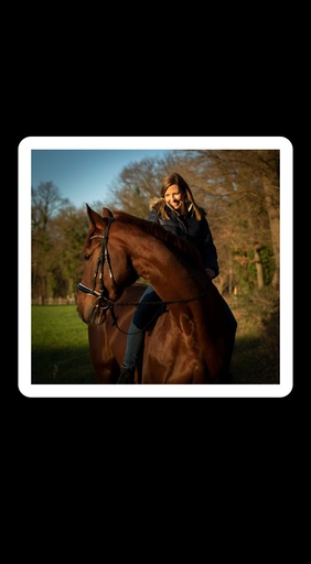 Justin Regge Fotografie | Tierfotografie | Pferdefotograf auf alleFotografen