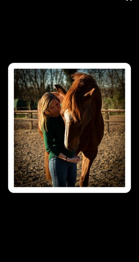 Justin Regge Fotografie | Tierfotografie | Paarfotograf auf alleFotografen