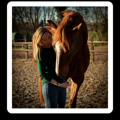 Justin Regge Fotografie | Tierfotografie | Paarfotograf auf alleFotografen