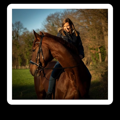 Justin Regge Fotografie | Tierfotografie | Pferdefotograf auf alleFotografen