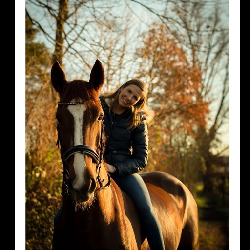 Justin Regge Fotografie | Tierfotografie | Paarfotograf auf alleFotografen