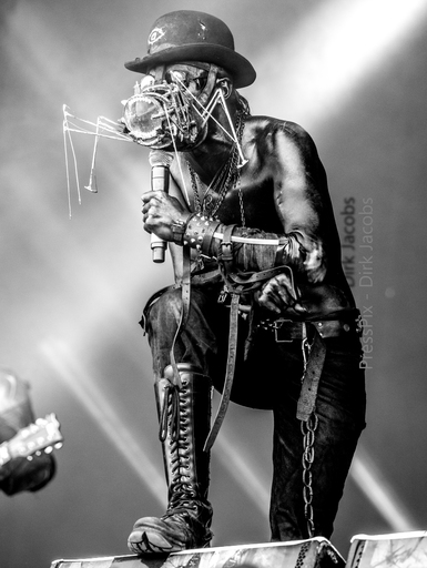 Dirk Jacobs | Work | Pferdefotograf auf alleFotografen