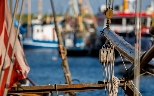 Dirk Jacobs | Work | Konzertfotograf auf alleFotografen