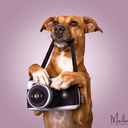 Malwilma Fotografie