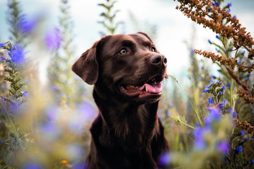 Chiara Calow - Fotografie | Portfolio | Sportfotograf auf alleFotografen
