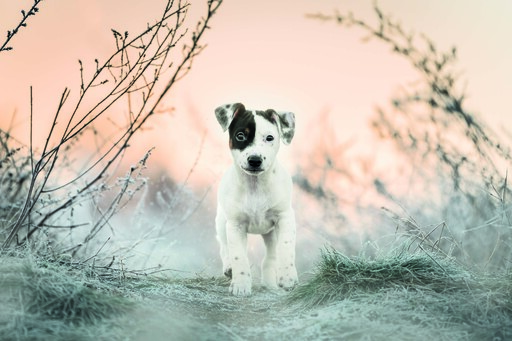 Chiara Calow - Fotografie | Portfolio | Sportfotograf auf alleFotografen