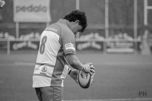 Paula Hacker | Rugby | Tierfotograf auf alleFotografen