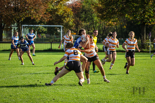 Paula Hacker | Rugby | Hundefotograf auf alleFotografen
