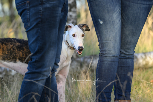 BwZ.photography | das ist mein Bildstil für deine Bilder... | Portraitfotograf auf alleFotografen