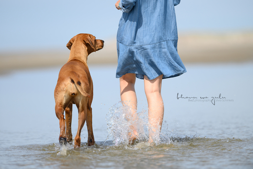 BwZ.photography | das ist mein Bildstil für deine Bilder... | Tierfotograf auf alleFotografen