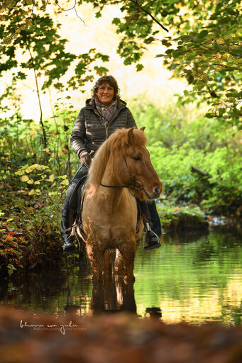 BwZ.photography | Pferde... | Pferdefotograf auf alleFotografen