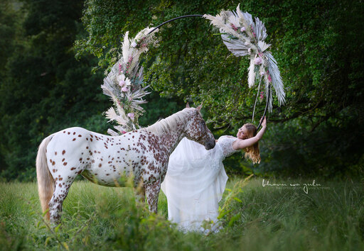 BwZ.photography | Pferde... | Hundefotograf auf alleFotografen