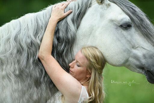 BwZ.photography | Pferde... | Hundefotograf auf alleFotografen