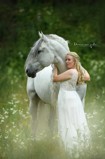 BwZ.photography | Pferde... | Portraitfotograf auf alleFotografen