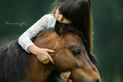 BwZ.photography | Pferde... | Hundefotograf auf alleFotografen