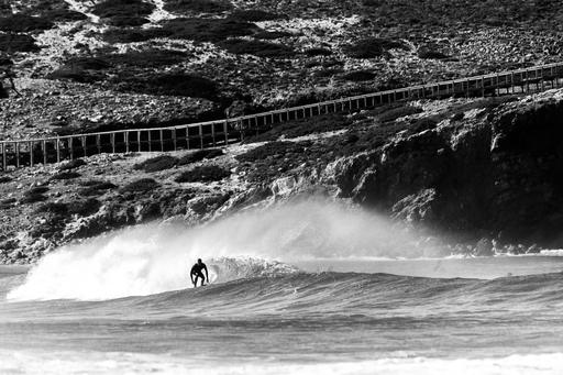 Daniel Pankoke | Wassersport | Tierfotograf auf alleFotografen
