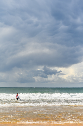 Daniel Pankoke | Wassersport | Tierfotograf auf alleFotografen