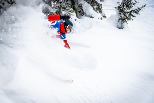 Daniel Pankoke | Wintersport | Tierfotograf auf alleFotografen