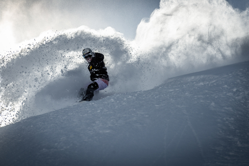 Daniel Pankoke | Wintersport | Tierfotograf auf alleFotografen