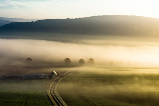 Daniel Pankoke | Landschaft | Hochzeitsfotograf auf alleFotografen