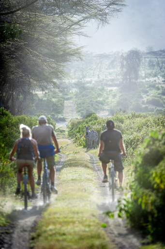 Daniel Pankoke | Travel und Lifestyle | Hochzeitsfotograf auf alleFotografen